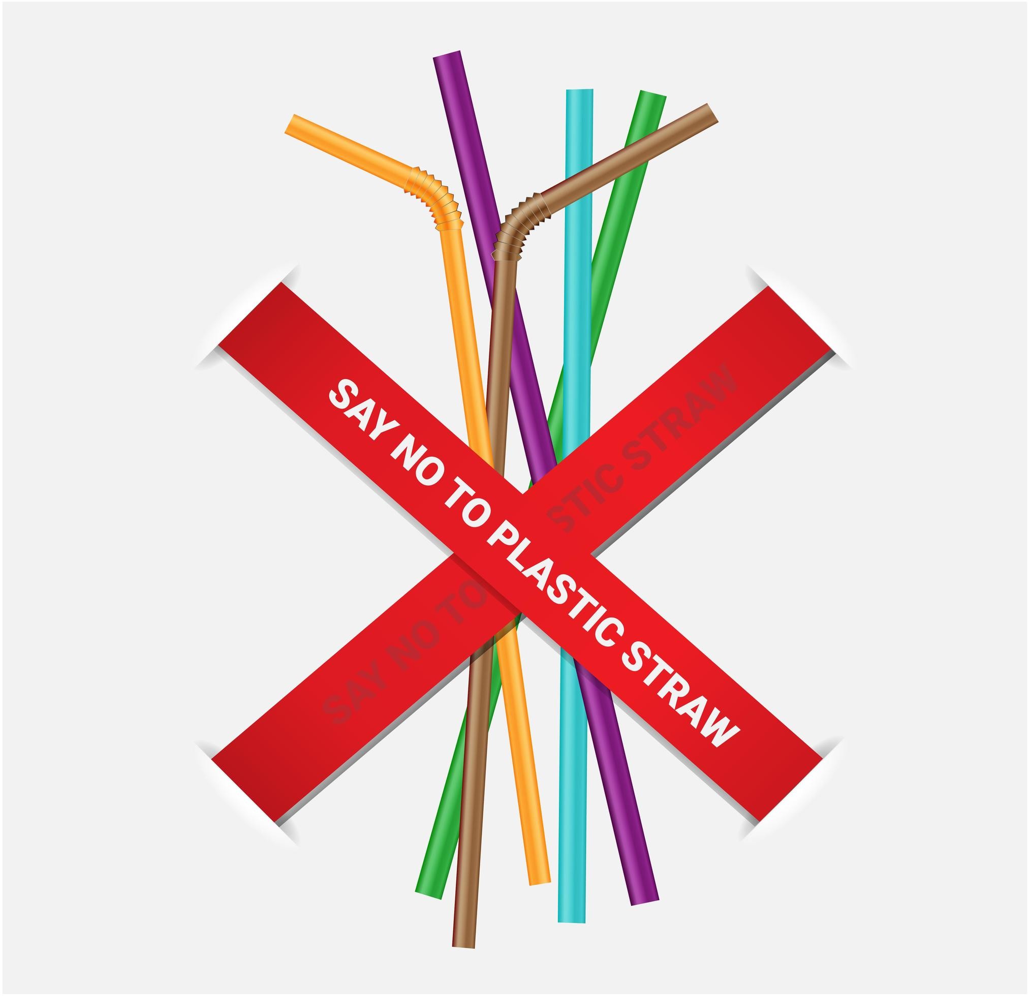 Plastic-Free Day 4